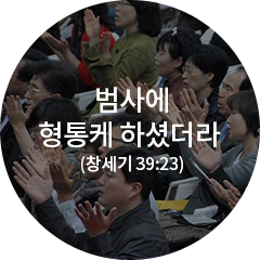 발자취